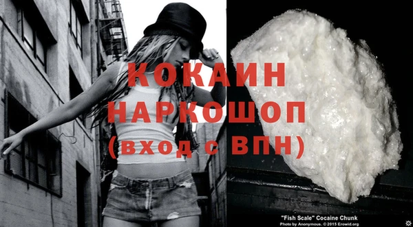 apvp Вяземский