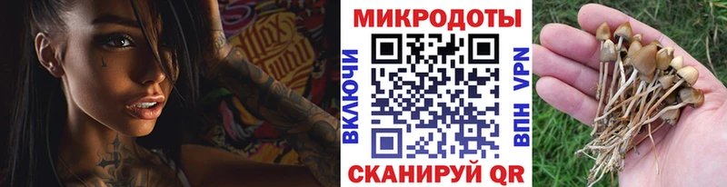 сколько стоит  Георгиевск  Галлюциногенные грибы ЛСД 