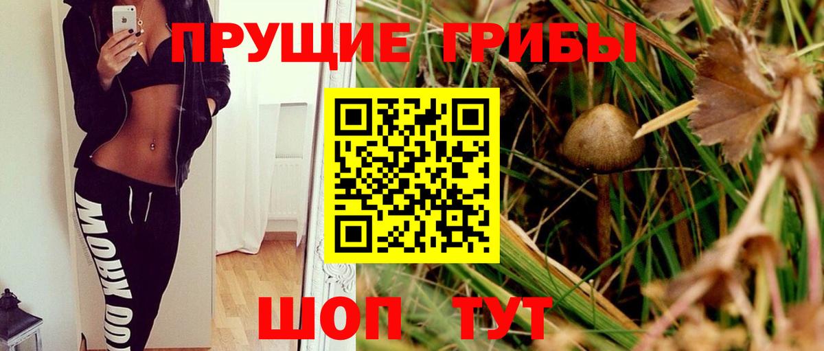 Alpha PVP СОЛЬ кристаллы  Георгиевск  Купить наркотики  МЕФ кристаллы  NBOMe  Гашиш  Марихуана  Кокаин  ГАШ  МЕФ   Вейп ТГК 