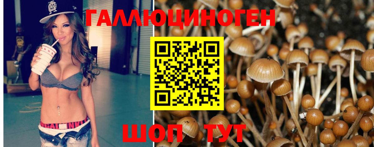 Галлюциногенные грибы Magic Shrooms  Вход с VPN  продажа наркотиков  Георгиевск 