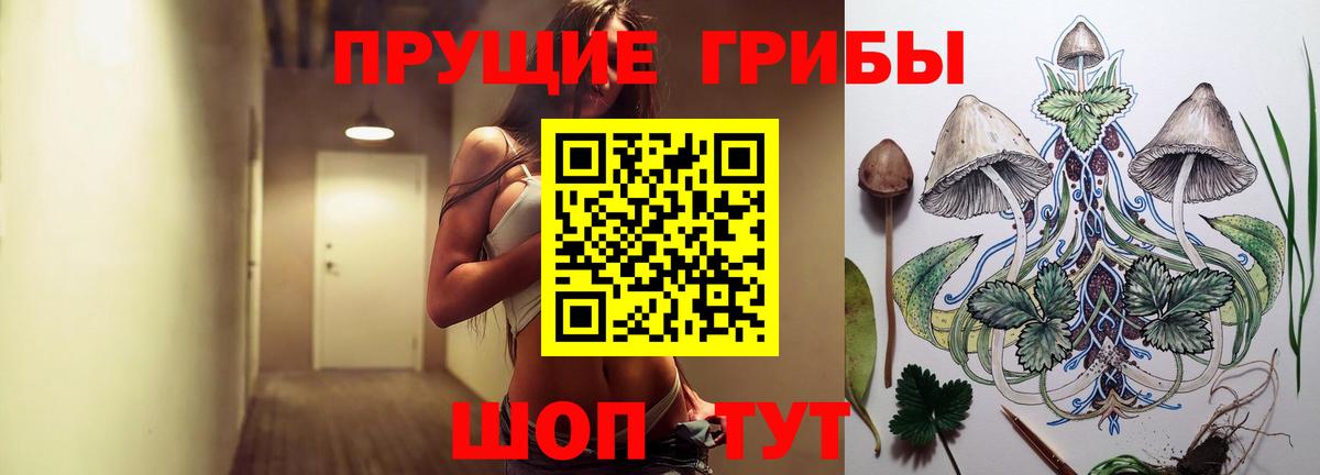 Псилоцибиновые грибы мухоморы Георгиевск