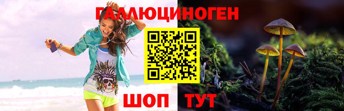 Галлюциногенные грибы мухоморы  Георгиевск 